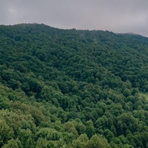 Grissom 7