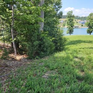 Tree buffer to left  of lot