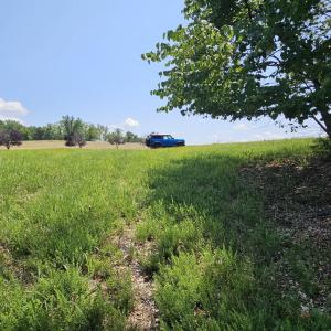Looking back toward street