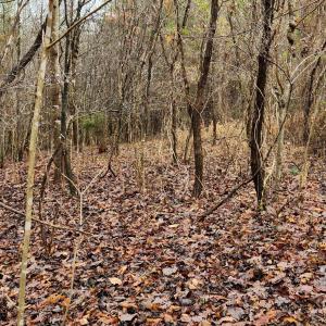 LOT 6 Brooks Mill Rd.