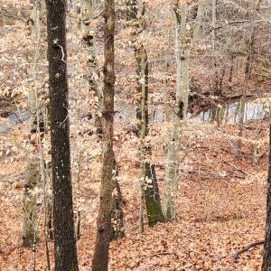 LOT 6 Brooks Mill Rd.