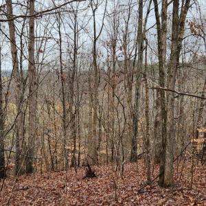 LOT 6 Brooks Mill Rd.