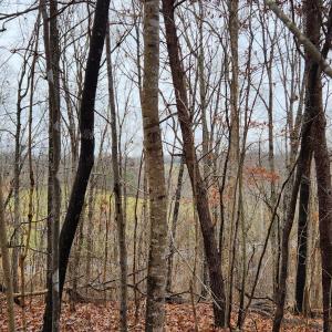 LOT 6 Brooks Mill Rd.