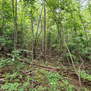 LOT 6 Brooks Mill Rd.