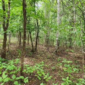 LOT 6 Brooks Mill Rd.