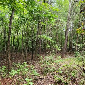LOT 6 Brooks Mill Rd.