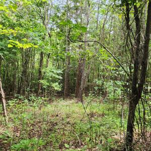 LOT 6 Brooks Mill Rd.