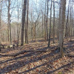 LOT 1 Truman Hill Rd.