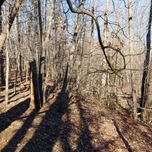 LOT 1 Truman Hill Rd.