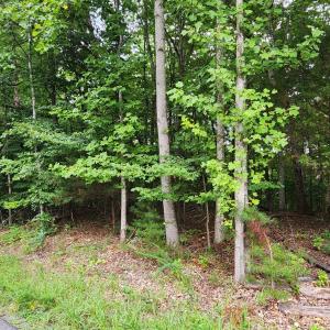 LOT 1 Truman Hill Rd.