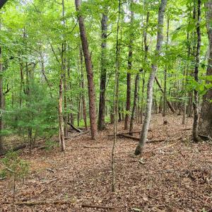 LOT 1 Truman Hill Rd.