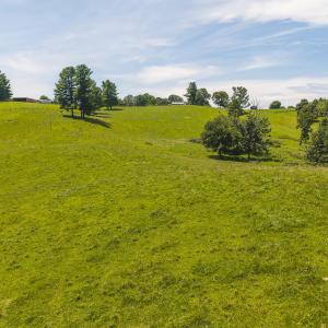 DJI_20260812134826_0580_D