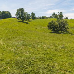 DJI_20260812134837_0581_D