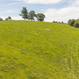 DJI_20260812135259_0599_D