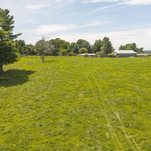 DJI_20260812135313_0600_D