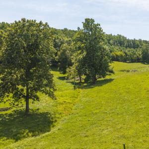 DJI_20260812134859_0583_D