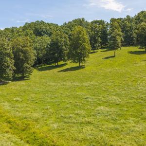 DJI_20260812134906_0584_D