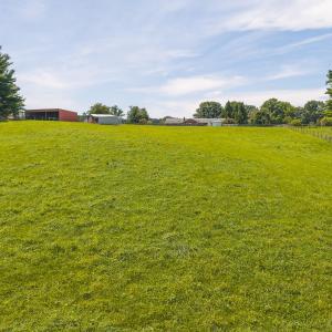 DJI_20260812134929_0585_D