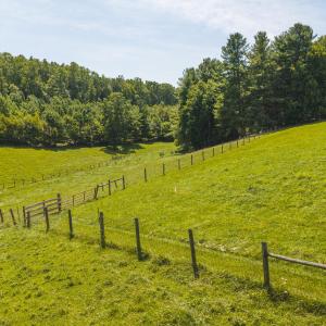 DJI_20260812134936_0586_D