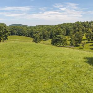 DJI_20260812135128_0593_D