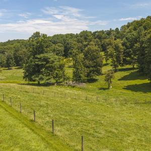 DJI_20260812135137_0594_D
