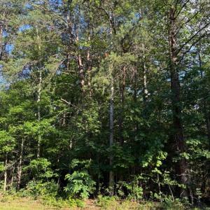Photo #2 of KIRTLEY TRL, CULPEPER, VA 31.1 acres