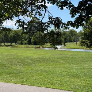 Photo #15 of KIRTLEY TRL, CULPEPER, VA 31.1 acres