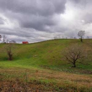 DSC06005