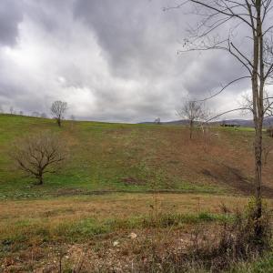 DSC06006