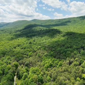 DJI_20260528131711_0007_V