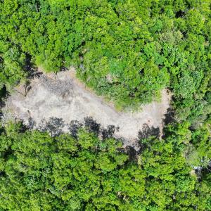 DJI_20260528132244_0017_V