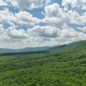 DJI_20260528132310_0020_V