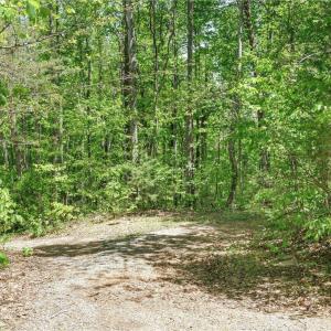 04-1512 Snow Creek Rd-4