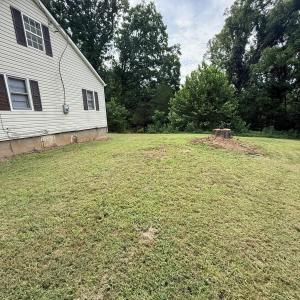 side yard