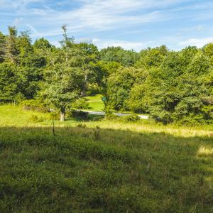 DJI_20260819171618_0792_D