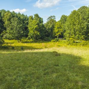 DJI_20260819171658_0795_D