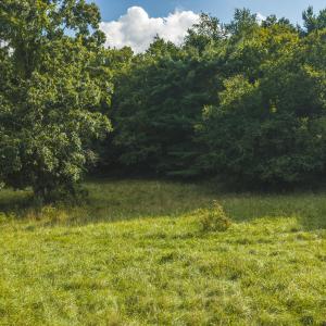 DJI_20260819171714_0797_D