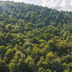 DJI_20260819172215_0804_D
