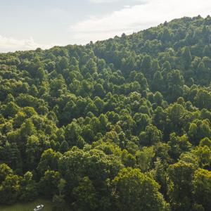 DJI_20260819172534_0810_D