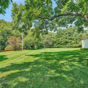 Nice yard
