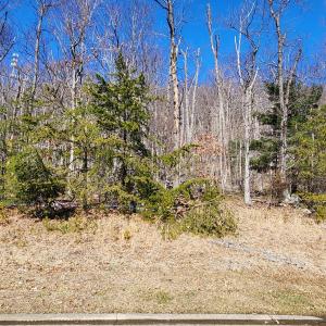 Lot 19 Summit Dr.