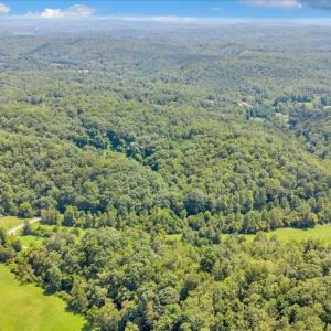 05-DJI_20260820130548_0135_D
