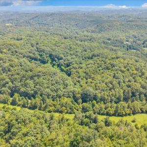 06-DJI_20260820130559_0136_D