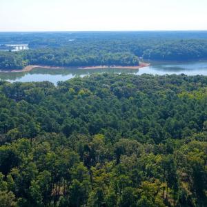 Clarksville - 28