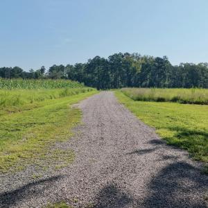 Clarksville - 4