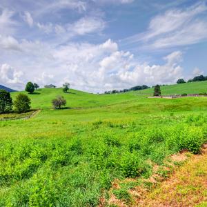 wytheville-130