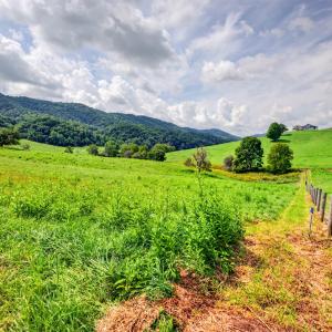 wytheville-131