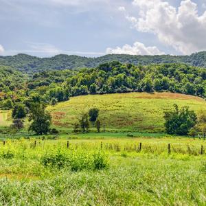 wytheville-140