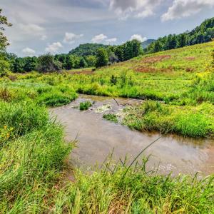 wytheville-147