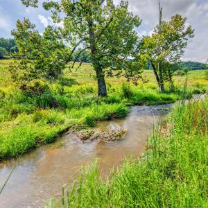 wytheville-148